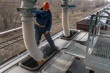 loading grain into the wagons at the elevator