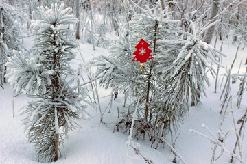 tree branches in frost in the forest with a wooden toy