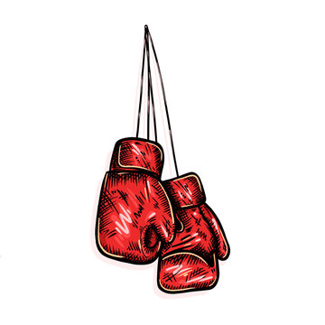 Boxing gloves illustration hand drawn sport 