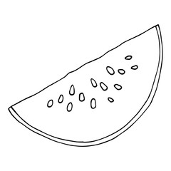 Watermelon icon. Vector illustration of a watermelon.  Hand drawn watermelon. Summer berry sketch.