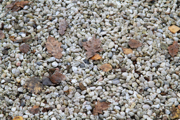 Herbstlandschaft - Herbstlaub