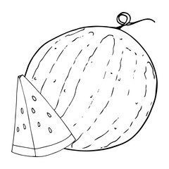 Watermelon icon. Vector illustration of a watermelon.  Hand drawn watermelon. Summer berry sketch.
