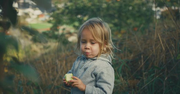 Little toddler eating an apple in orchard