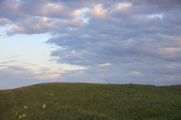 Prairie