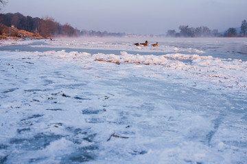 cold sunrise in Dresden with ice floes on the river