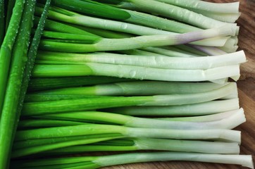 A bunch of fresh spring green onions 