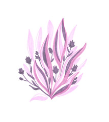 pink bush with purple flowers