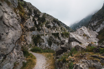 Walking in the mountains