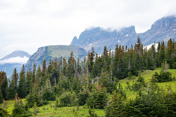 Glacier National Park Landscape