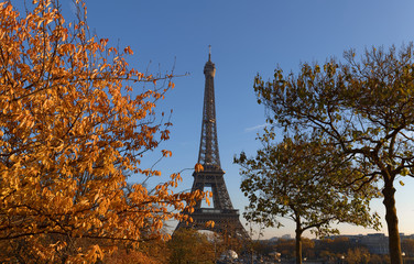 Beautiful view of autumn trees with the Eiffel tower in the foreground in Paris.