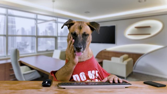 Bored Dog with human hands sitting at his desk and waiting by his phone wearing a red shirt in an office