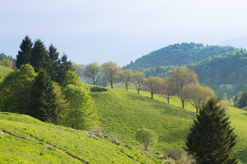 Fototapeta na wymiar Spring mountain landscape, mount Grappa, Italy