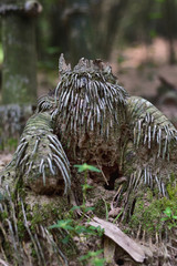 Old bamboo root. Bamboo root background. Bamboo root art. selective focus.
