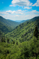 Fototapeta na wymiar Sunny Day Over Valley in the Great Smoky Mountains