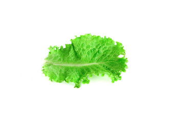 Leaf of green fresh lettuce isolated on a white background. Nutrition plan