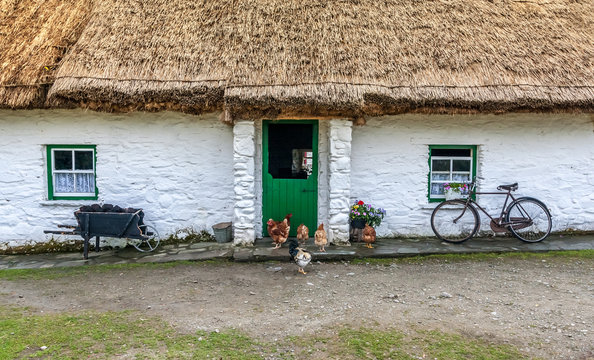 Traditional Irish Life