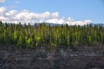 The dense pine forest grows right to the edge of a sheer rocky cliff, creating a sharp contrast against the bright and sunny blue sky on a partially cloudy day with hills in the distance.