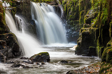 Day hike to Clare Glens in Limerick , Ireland