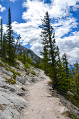 A dirt, hiking trail wraps around the edge of Sulfur Mountain where young pine trees and low lying vegetation grow out from the rocky cliff face towering high into the cloudy sky on a sunny day.