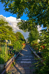 An edible garden supported by a thin trellis and surrounded beautiful red flowers and greenery, grows alongside old rail tracks lined with pebbles and pavers on this sunny and partially cloudy day.