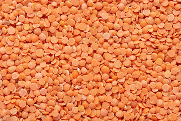 Close up macro of raw red lentils