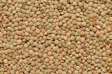 Macro close up of raw lentil beans