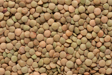 Macro close up of raw lentil beans