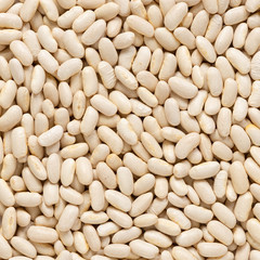 White kidney beans cannellini macro background