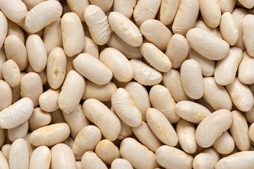 White kidney beans cannellini macro background