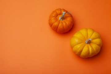 Pumpkin Orange Background Fruit Autumn