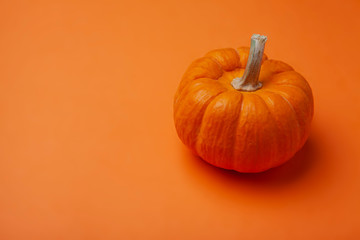 Pumpkin Orange Background Fruit Autumn