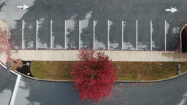 Aerial, passing directly over brightly colored autumn trees lining the driveway leading up to the Kissel Hill Elementary School, Lititz, Lancaster County, Pennsylvania.