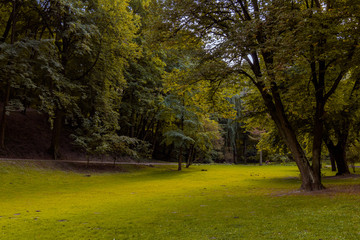 park outdoor scenery landscape  brown green natural environment grass meadow 