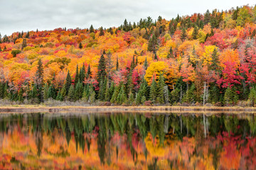 Reflection of Autumn Colors, Mountain and trees