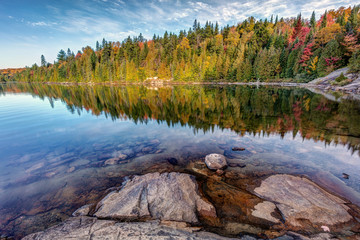 Fototapeta na wymiar Wild Lake Shoreline in Autumn