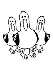 möwen party crew tier klein frech niedlich süß