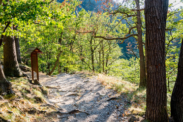 Fototapeta premium Wanderstrecke Treseburg, Bodetal, Thale - Harz, Sachsen-Anhalt