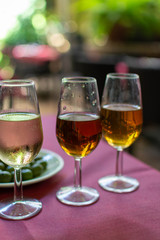 Sherry wine tasting, selection of different jerez fortified wines from dry to very sweet, Jerez de la Frontera, Andalusia, Spain