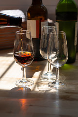 Sherry wine tasting, selection of different jerez fortified wines from dry to very sweet in glasses, Jerez de la Frontera, Andalusia, Spain