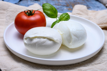 Cheese collection, organic mozzarella soft cheese served with ripe tomato and fresh green basil