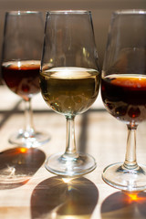 Sherry wine tasting, selection of different jerez fortified wines from dry to very sweet in glasses, Jerez de la Frontera, Andalusia, Spain