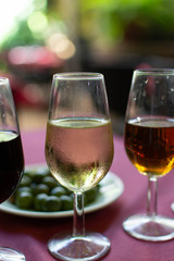Sherry wine tasting, selection of different jerez fortified wines from dry to very sweet in glasses, Jerez de la Frontera, Andalusia, Spain