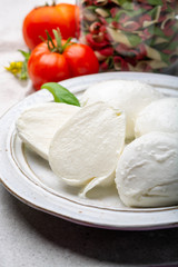 Obraz na płótnie Canvas Cheese collection, balls Italian soft white cheese mozzarella