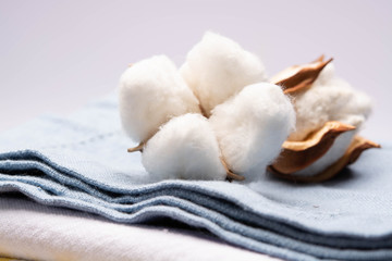 Soft natural fiber kitchen and bed textile made from organic cotton bolls