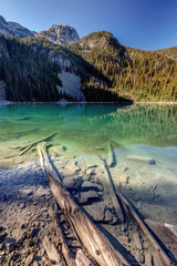 Dead trees in the water of Joffre Lakes