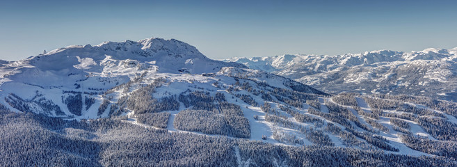 Panoramic view of Whistler Mountain Resort in Winter on a sunny day - obrazy, fototapety, plakaty