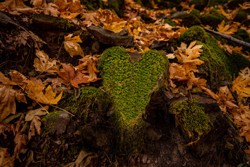 Heart Shaped Rock in the fall 