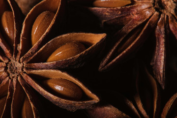 Star Anise macro close up