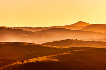 Fototapeta na wymiar Tuscan hills at sunrise. Typical rural landscape. Tuscany, Italy