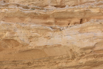 sandy rock texture